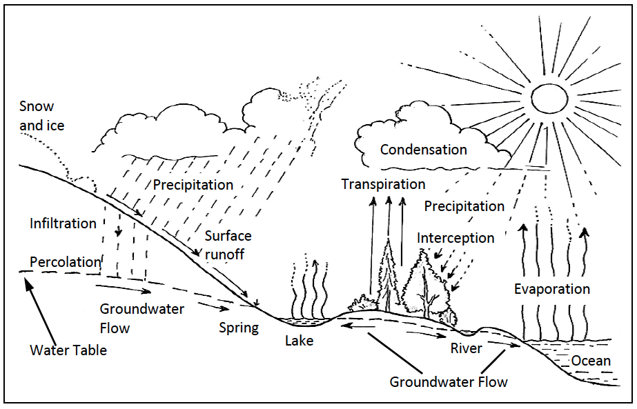 The Hydrological Cycle